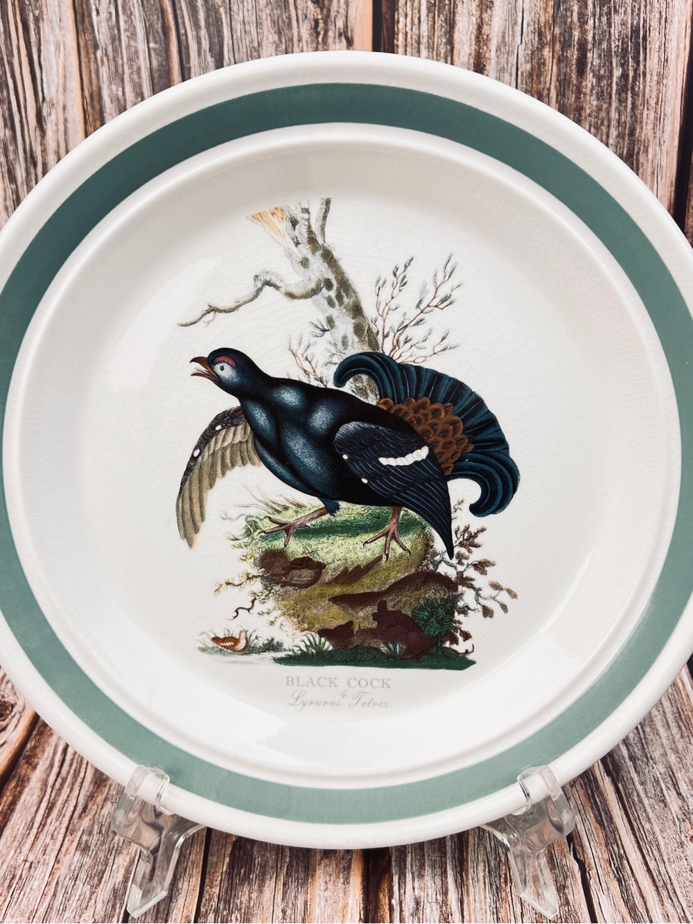 Portmeirion Birds of Britain Black Bird Dinner Plate Vintage Birds Series 1978